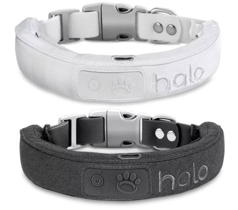 halo collar for dogs